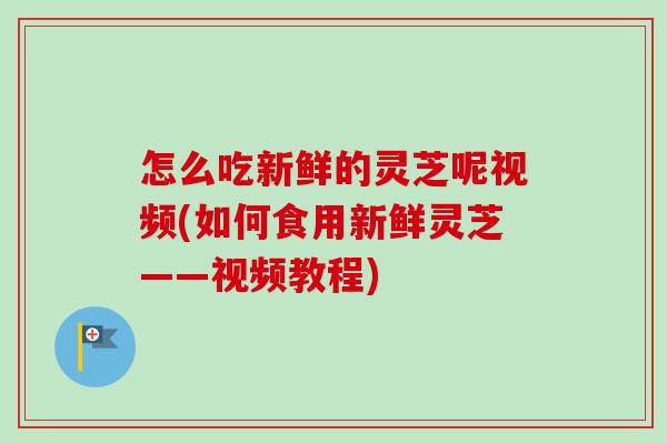 怎么吃新鲜的灵芝呢视频(如何食用新鲜灵芝——视频教程)-第1张图片-卓越灵芝孢子粉 怎么吃新鲜的灵芝呢视频(如何食用新鲜灵芝——视频教程)-第1张图片-卓越灵芝孢子粉