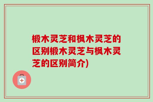 椴木灵芝和枫木灵芝的区别椴木灵芝与枫木灵芝的区别简介)-第1张图片-卓越灵芝孢子粉 椴木灵芝和枫木灵芝的区别椴木灵芝与枫木灵芝的区别简介)-第1张图片-卓越灵芝孢子粉