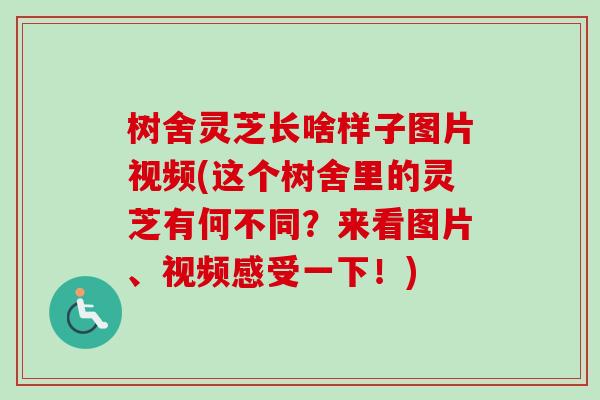 树舍灵芝长啥样子图片视频(这个树舍里的灵芝有何不同？来看图片、视频感受一下！)-第1张图片-卓越灵芝孢子粉
