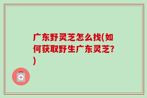 广东野灵芝怎么找(如何获取野生广东灵芝?)-第1张图片-卓越灵芝孢子粉 广东野灵芝怎么找(如何获取野生广东灵芝?)-第1张图片-卓越灵芝孢子粉
