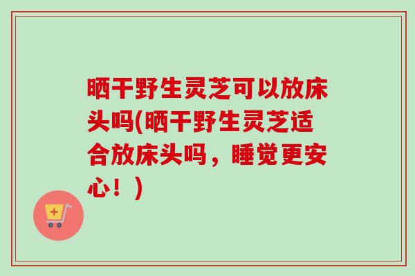晒干野生灵芝可以放床头吗(晒干野生灵芝适合放床头吗,睡觉更安心!)-第1张图片-卓越灵芝孢子粉 晒干野生灵芝可以放床头吗(晒干野生灵芝适合放床头吗,睡觉更安心!)-第1张图片-卓越灵芝孢子粉