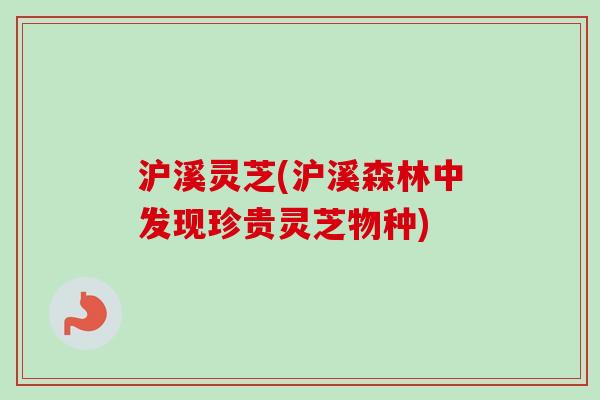 沪溪灵芝(沪溪森林中发现珍贵灵芝物种)-第1张图片-卓越灵芝孢子粉 沪溪灵芝(沪溪森林中发现珍贵灵芝物种)-第1张图片-卓越灵芝孢子粉