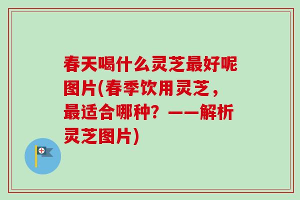 春天喝什么灵芝最好呢图片(春季饮用灵芝，最适合哪种？——解析灵芝图片)-第1张图片-卓越灵芝孢子粉