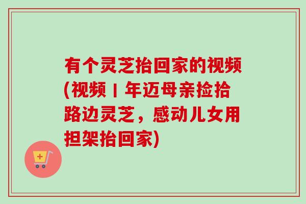 有个灵芝抬回家的视频(视频丨年迈母亲捡拾路边灵芝，感动儿女用担架抬回家)-第1张图片-卓越灵芝孢子粉