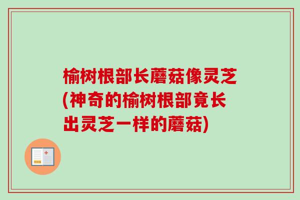 榆树根部长蘑菇像灵芝(神奇的榆树根部竟长出灵芝一样的蘑菇)-第1张图片-卓越灵芝孢子粉 榆树根部长蘑菇像灵芝(神奇的榆树根部竟长出灵芝一样的蘑菇)-第1张图片-卓越灵芝孢子粉