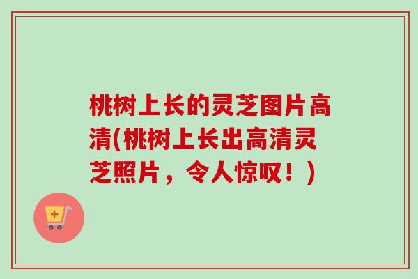 桃树上长的灵芝图片高清(桃树上长出高清灵芝照片，令人惊叹！)-第1张图片-卓越灵芝孢子粉