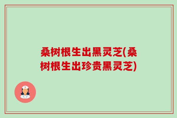 桑树根生出黑灵芝(桑树根生出珍贵黑灵芝)-第1张图片-卓越灵芝孢子粉 桑树根生出黑灵芝(桑树根生出珍贵黑灵芝)-第1张图片-卓越灵芝孢子粉