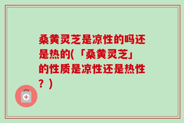 桑黄灵芝是凉性的吗还是热的(「桑黄灵芝」的性质是凉性还是热性?)-第1张图片-卓越灵芝孢子粉 桑黄灵芝是凉性的吗还是热的(「桑黄灵芝」的性质是凉性还是热性?)-第1张图片-卓越灵芝孢子粉