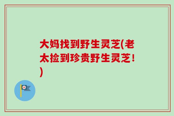 大妈找到野生灵芝(老太捡到珍贵野生灵芝!)-第1张图片-卓越灵芝孢子粉 大妈找到野生灵芝(老太捡到珍贵野生灵芝!)-第1张图片-卓越灵芝孢子粉