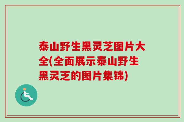 泰山野生黑灵芝图片大全(全面展示泰山野生黑灵芝的图片集锦)-第1张图片-卓越灵芝孢子粉 泰山野生黑灵芝图片大全(全面展示泰山野生黑灵芝的图片集锦)-第1张图片-卓越灵芝孢子粉