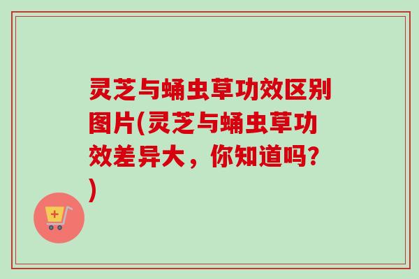 灵芝与蛹虫草功效区别图片(灵芝与蛹虫草功效差异大,你知道吗?)-第1张图片-卓越灵芝孢子粉 灵芝与蛹虫草功效区别图片(灵芝与蛹虫草功效差异大,你知道吗?)-第1张图片-卓越灵芝孢子粉