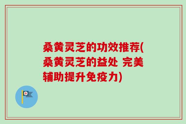 桑黄灵芝的功效推荐(桑黄灵芝的益处 完美辅助提升免疫力)-第1张图片-卓越灵芝孢子粉 桑黄灵芝的功效推荐(桑黄灵芝的益处 完美辅助提升免疫力)-第1张图片-卓越灵芝孢子粉