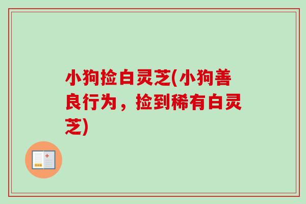 小狗捡白灵芝(小狗善良行为，捡到稀有白灵芝)-第1张图片-卓越灵芝孢子粉