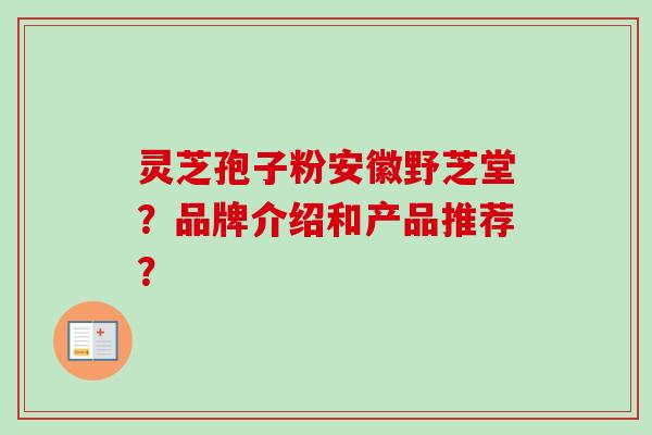 灵芝孢子粉安徽野芝堂？品牌介绍和产品推荐？-第1张图片-卓越灵芝孢子粉