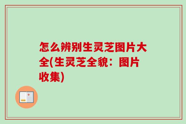 怎么辨别生灵芝图片大全(生灵芝全貌:图片收集)-第1张图片-卓越灵芝孢子粉 怎么辨别生灵芝图片大全(生灵芝全貌:图片收集)-第1张图片-卓越灵芝孢子粉