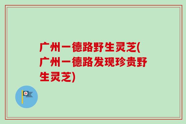 广州一德路野生灵芝(广州一德路发现珍贵野生灵芝)-第1张图片-卓越灵芝孢子粉