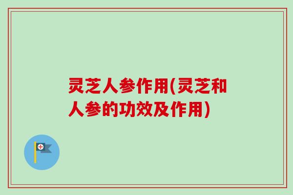 灵芝人参作用(灵芝和人参的功效及作用)-第1张图片-卓越灵芝孢子粉 灵芝人参作用(灵芝和人参的功效及作用)-第1张图片-卓越灵芝孢子粉