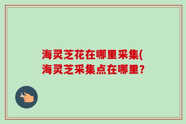 海灵芝花在哪里采集(海灵芝采集点在哪里?-第1张图片-卓越灵芝孢子粉 海灵芝花在哪里采集(海灵芝采集点在哪里?-第1张图片-卓越灵芝孢子粉