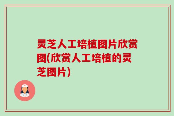 灵芝人工培植图片欣赏图(欣赏人工培植的灵芝图片)-第1张图片-卓越灵芝孢子粉 灵芝人工培植图片欣赏图(欣赏人工培植的灵芝图片)-第1张图片-卓越灵芝孢子粉