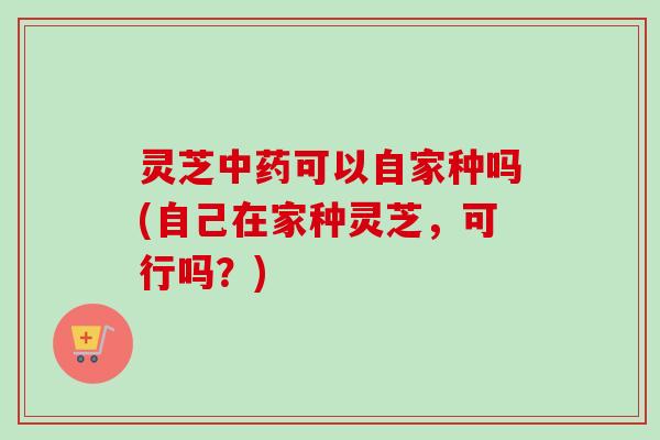灵芝中药可以自家种吗(自己在家种灵芝，可行吗？)-第1张图片-卓越灵芝孢子粉