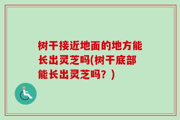 树干接近地面的地方能长出灵芝吗(树干底部能长出灵芝吗?)-第1张图片-卓越灵芝孢子粉 树干接近地面的地方能长出灵芝吗(树干底部能长出灵芝吗?)-第1张图片-卓越灵芝孢子粉