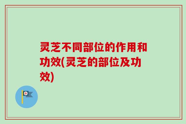 灵芝不同部位的作用和功效(灵芝的部位及功效)-第1张图片-卓越灵芝孢子粉 灵芝不同部位的作用和功效(灵芝的部位及功效)-第1张图片-卓越灵芝孢子粉