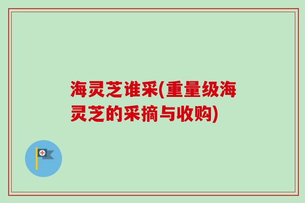 海灵芝谁采(重量级海灵芝的采摘与收购)-第1张图片-卓越灵芝孢子粉