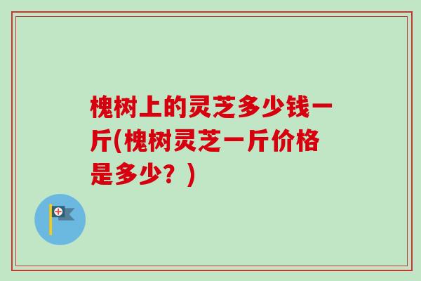 槐树上的灵芝多少钱一斤(槐树灵芝一斤价格是多少?)-第1张图片-卓越灵芝孢子粉 槐树上的灵芝多少钱一斤(槐树灵芝一斤价格是多少?)-第1张图片-卓越灵芝孢子粉