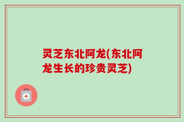 灵芝东北阿龙(东北阿龙生长的珍贵灵芝)-第1张图片-卓越灵芝孢子粉 灵芝东北阿龙(东北阿龙生长的珍贵灵芝)-第1张图片-卓越灵芝孢子粉