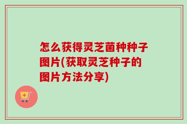 怎么获得灵芝菌种种子图片(获取灵芝种子的图片方法分享)-第1张图片-卓越灵芝孢子粉
