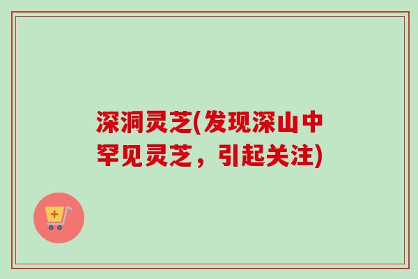 深洞灵芝(发现深山中罕见灵芝,引起关注)-第1张图片-卓越灵芝孢子粉 深洞灵芝(发现深山中罕见灵芝,引起关注)-第1张图片-卓越灵芝孢子粉