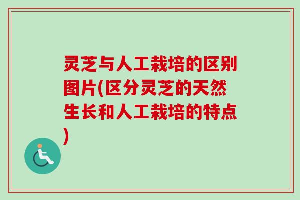 灵芝与人工栽培的区别图片(区分灵芝的天然生长和人工栽培的特点)-第1张图片-卓越灵芝孢子粉 灵芝与人工栽培的区别图片(区分灵芝的天然生长和人工栽培的特点)-第1张图片-卓越灵芝孢子粉