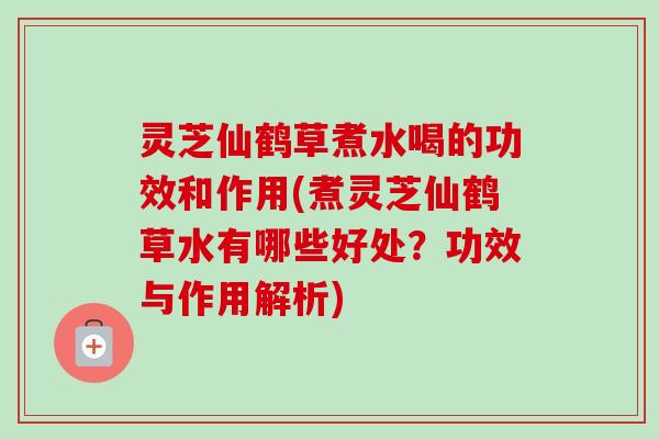 灵芝仙鹤草煮水喝的功效和作用(煮灵芝仙鹤草水有哪些好处？功效与作用解析)-第1张图片-卓越灵芝孢子粉