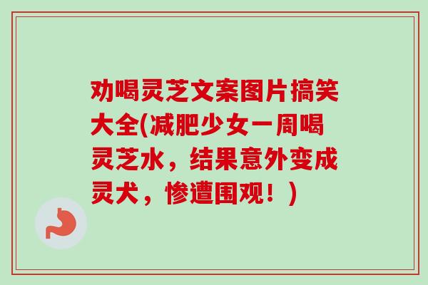 劝喝灵芝文案图片搞笑大全(减肥少女一周喝灵芝水，结果意外变成灵犬，惨遭围观！)-第1张图片-卓越灵芝孢子粉