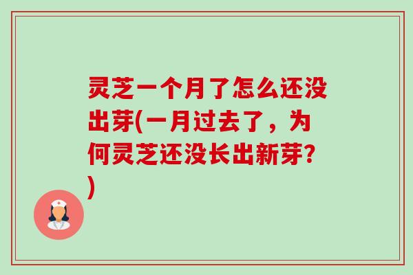 灵芝一个月了怎么还没出芽(一月过去了,为何灵芝还没长出新芽?)-第1张图片-卓越灵芝孢子粉 灵芝一个月了怎么还没出芽(一月过去了,为何灵芝还没长出新芽?)-第1张图片-卓越灵芝孢子粉