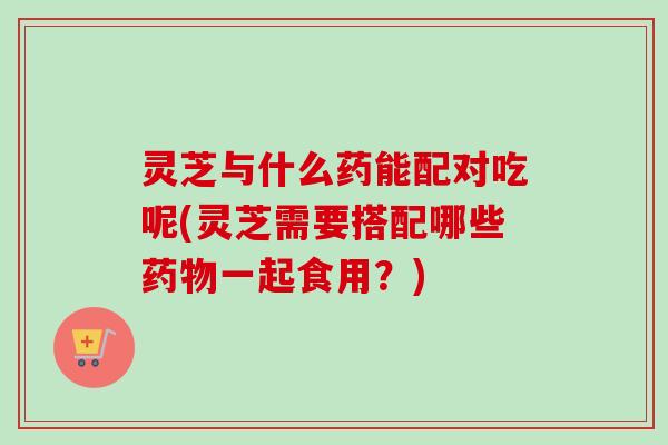灵芝与什么药能配对吃呢(灵芝需要搭配哪些药物一起食用?)-第1张图片-卓越灵芝孢子粉 灵芝与什么药能配对吃呢(灵芝需要搭配哪些药物一起食用?)-第1张图片-卓越灵芝孢子粉