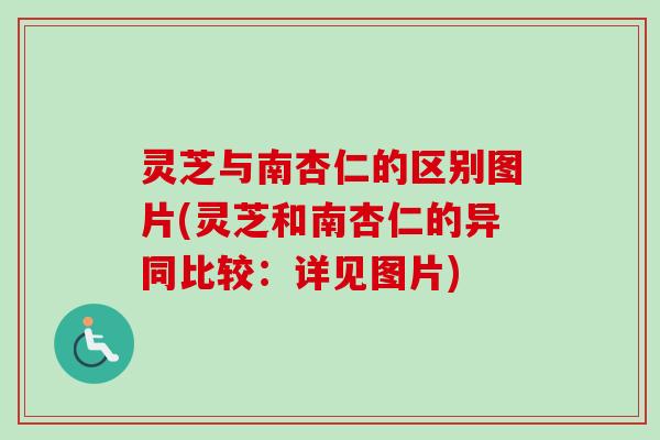 灵芝与南杏仁的区别图片(灵芝和南杏仁的异同比较:详见图片)-第1张图片-卓越灵芝孢子粉 灵芝与南杏仁的区别图片(灵芝和南杏仁的异同比较:详见图片)-第1张图片-卓越灵芝孢子粉