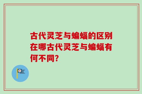 古代灵芝与蝙蝠的区别在哪古代灵芝与蝙蝠有何不同?-第1张图片-卓越灵芝孢子粉 古代灵芝与蝙蝠的区别在哪古代灵芝与蝙蝠有何不同?-第1张图片-卓越灵芝孢子粉
