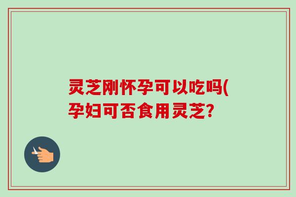 灵芝刚怀孕可以吃吗(孕妇可否食用灵芝?-第1张图片-卓越灵芝孢子粉 灵芝刚怀孕可以吃吗(孕妇可否食用灵芝?-第1张图片-卓越灵芝孢子粉