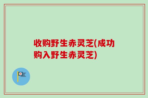 收购野生赤灵芝(成功购入野生赤灵芝)-第1张图片-卓越灵芝孢子粉 收购野生赤灵芝(成功购入野生赤灵芝)-第1张图片-卓越灵芝孢子粉