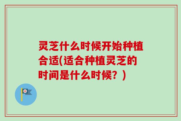 灵芝什么时候开始种植合适(适合种植灵芝的时间是什么时候?)-第1张图片-卓越灵芝孢子粉 灵芝什么时候开始种植合适(适合种植灵芝的时间是什么时候?)-第1张图片-卓越灵芝孢子粉