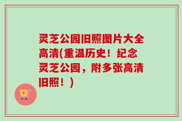 灵芝公园旧照图片大全高清(重温历史!纪念灵芝公园,附多张高清旧照!)-第1张图片-卓越灵芝孢子粉 灵芝公园旧照图片大全高清(重温历史!纪念灵芝公园,附多张高清旧照!)-第1张图片-卓越灵芝孢子粉
