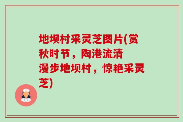 地坝村采灵芝图片(赏秋时节,陶港流清 漫步地坝村,惊艳采灵芝)-第1张图片-卓越灵芝孢子粉 地坝村采灵芝图片(赏秋时节,陶港流清 漫步地坝村,惊艳采灵芝)-第1张图片-卓越灵芝孢子粉