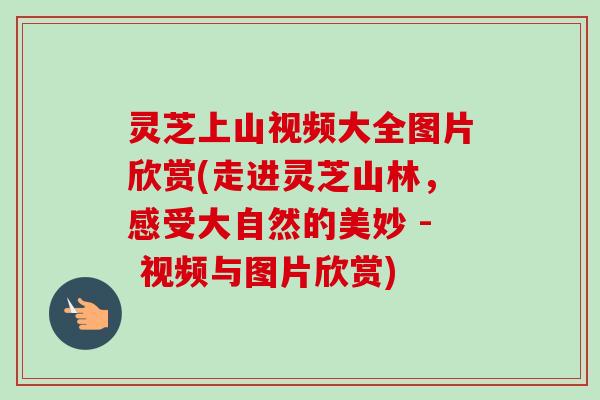 灵芝上山视频大全图片欣赏(走进灵芝山林,感受大自然的美妙 - 视频与图片欣赏)-第1张图片-卓越灵芝孢子粉 灵芝上山视频大全图片欣赏(走进灵芝山林,感受大自然的美妙 - 视频与图片欣赏)-第1张图片-卓越灵芝孢子粉