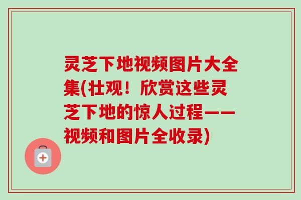 灵芝下地视频图片大全集(壮观!欣赏这些灵芝下地的惊人过程——视频和图片全收录)-第1张图片-卓越灵芝孢子粉 灵芝下地视频图片大全集(壮观!欣赏这些灵芝下地的惊人过程——视频和图片全收录)-第1张图片-卓越灵芝孢子粉