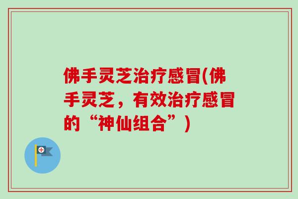 佛手灵芝治疗感冒(佛手灵芝,有效治疗感冒的“神仙组合”)-第1张图片-卓越灵芝孢子粉 佛手灵芝治疗感冒(佛手灵芝,有效治疗感冒的“神仙组合”)-第1张图片-卓越灵芝孢子粉