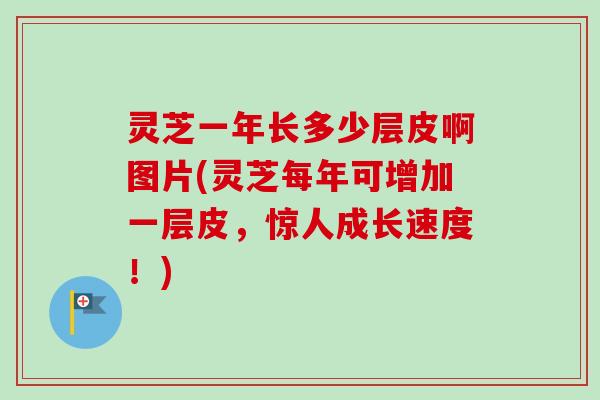 灵芝一年长多少层皮啊图片(灵芝每年可增加一层皮,惊人成长速度!)-第1张图片-卓越灵芝孢子粉 灵芝一年长多少层皮啊图片(灵芝每年可增加一层皮,惊人成长速度!)-第1张图片-卓越灵芝孢子粉