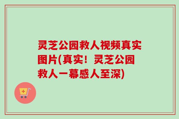 灵芝公园救人视频真实图片(真实！灵芝公园救人一幕感人至深)-第1张图片-卓越灵芝孢子粉