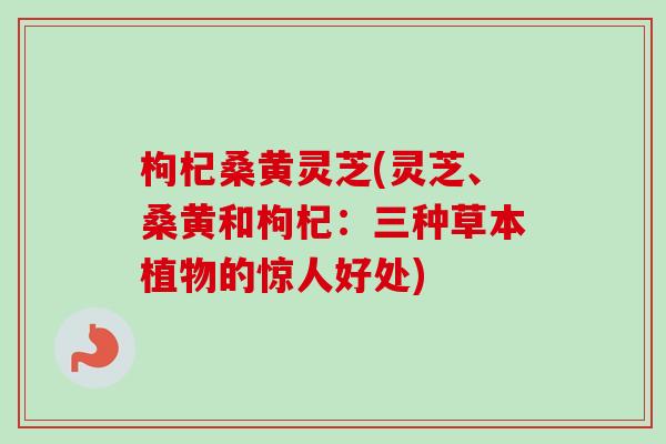 枸杞桑黄灵芝(灵芝、桑黄和枸杞:三种草本植物的惊人好处)-第1张图片-卓越灵芝孢子粉 枸杞桑黄灵芝(灵芝、桑黄和枸杞:三种草本植物的惊人好处)-第1张图片-卓越灵芝孢子粉