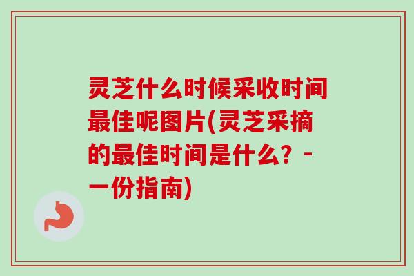 灵芝什么时候采收时间最佳呢图片(灵芝采摘的最佳时间是什么?-一份指南)-第1张图片-卓越灵芝孢子粉 灵芝什么时候采收时间最佳呢图片(灵芝采摘的最佳时间是什么?-一份指南)-第1张图片-卓越灵芝孢子粉